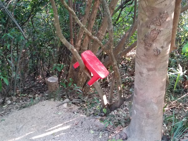 見下文
