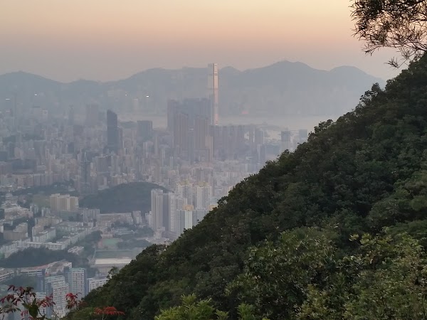 見下文