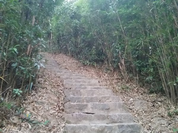 見下文