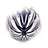 Fragile Strength 易碎力量