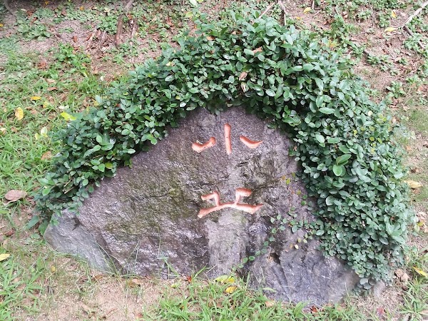 見下文