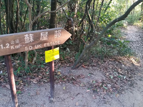 見下文