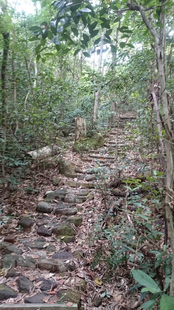 見下文