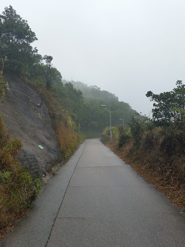 見下文