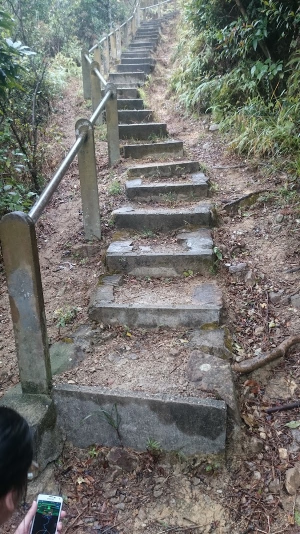 見下文