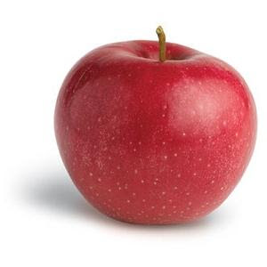 apple3.jpg