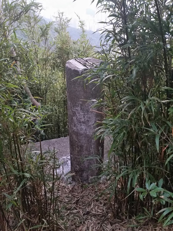 見下文