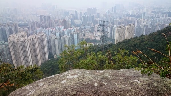 見下文