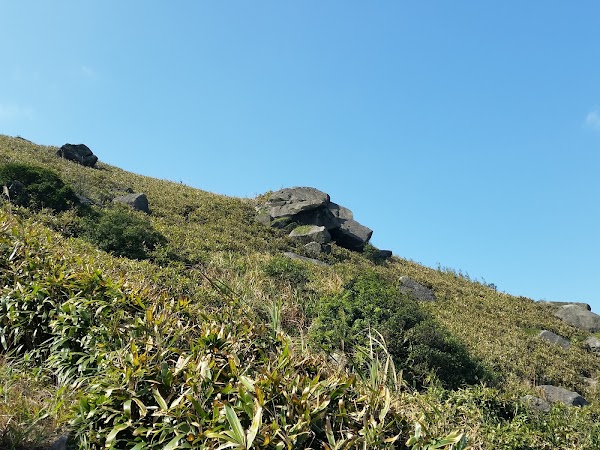 見下文