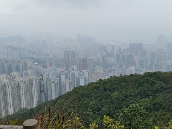 見下文