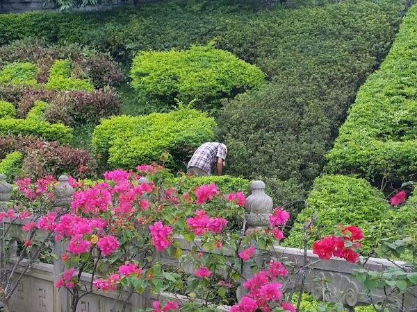 見下文