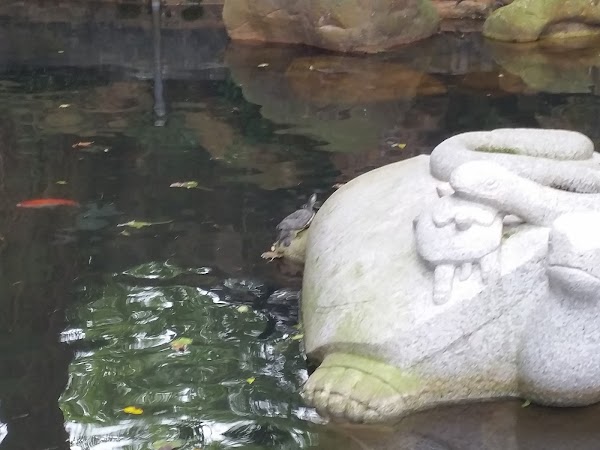 見下文