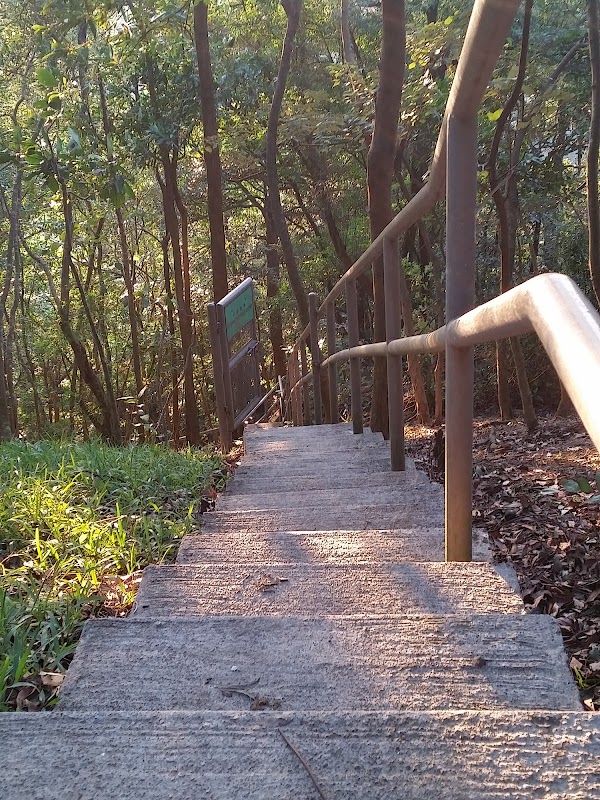 見下文