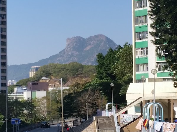 見下文