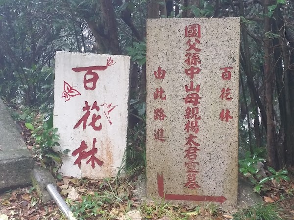 見下文