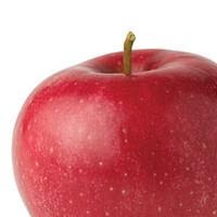 apple2.jpg