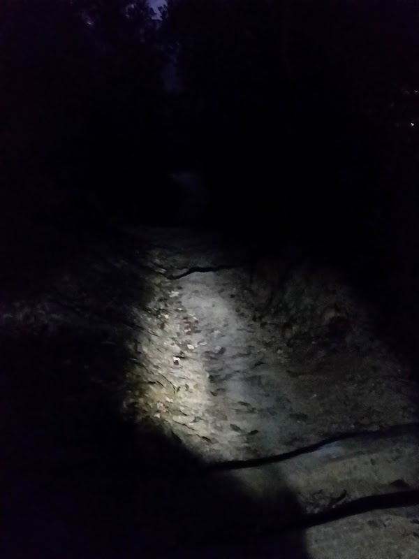 見下文