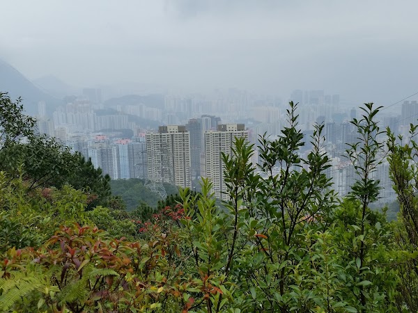 見下文