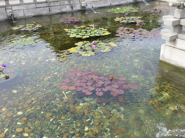見下文