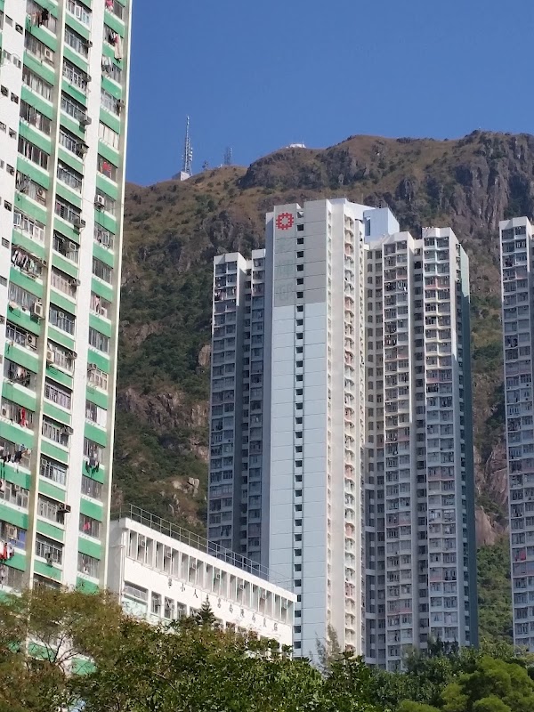 見下文