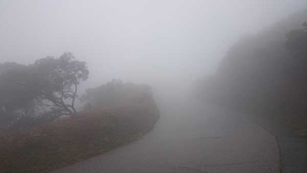 見下文