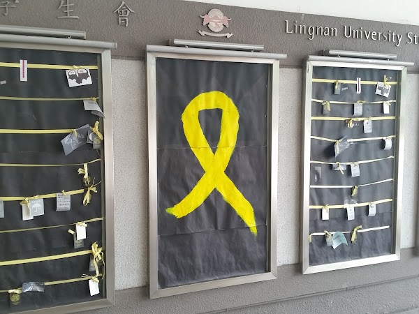 見下文
