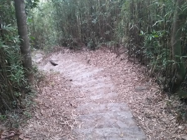 見下文