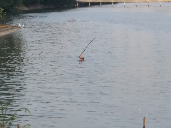 見下文