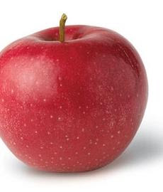 apple2.jpg