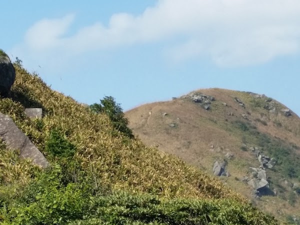 見下文