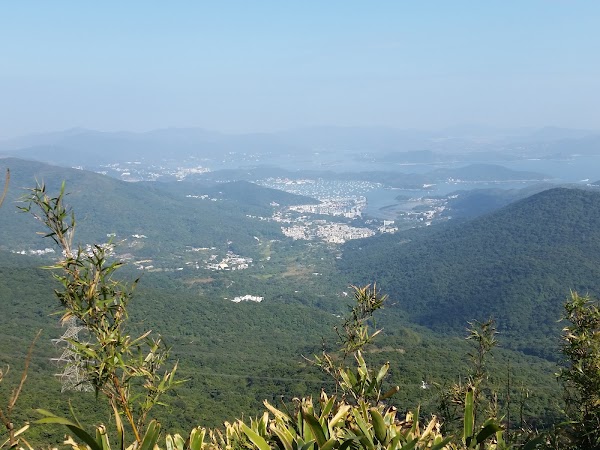 見下文