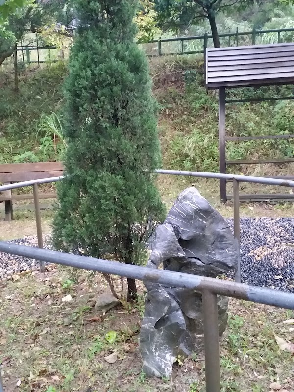 見下文