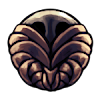 Stalwart Shell 堅硬外殼