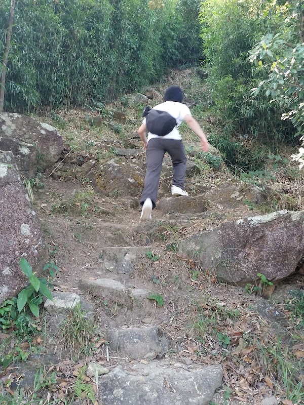見下文