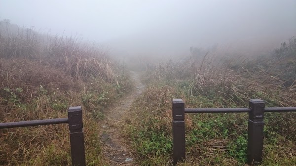 見下文