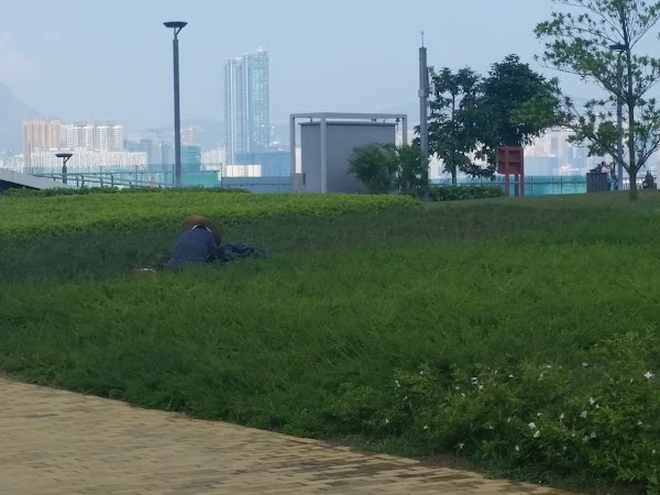 見下文