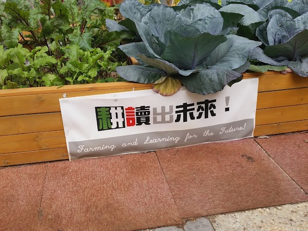 見下文