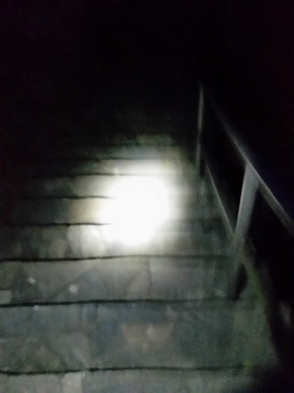 見下文