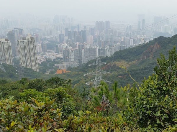 見下文