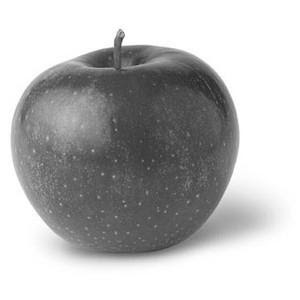 apple4.jpg