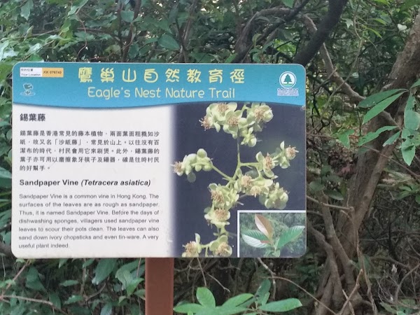 見下文