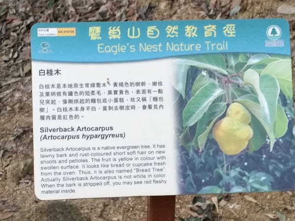 見下文