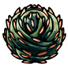 Thorns Of Agony 苦痛荊棘