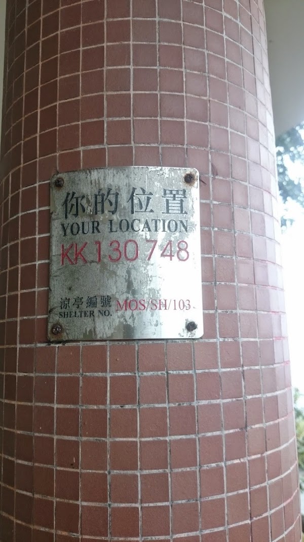 見下文