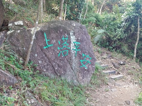 見下文