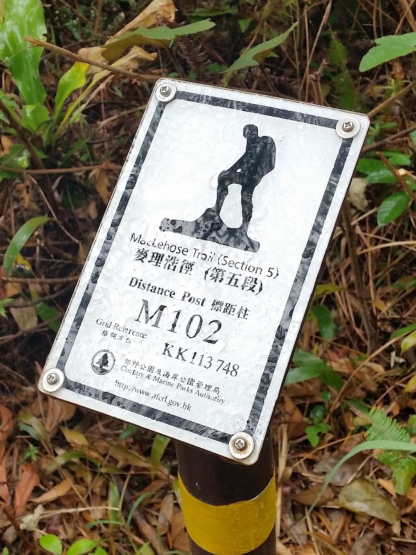 見下文