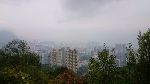見下文