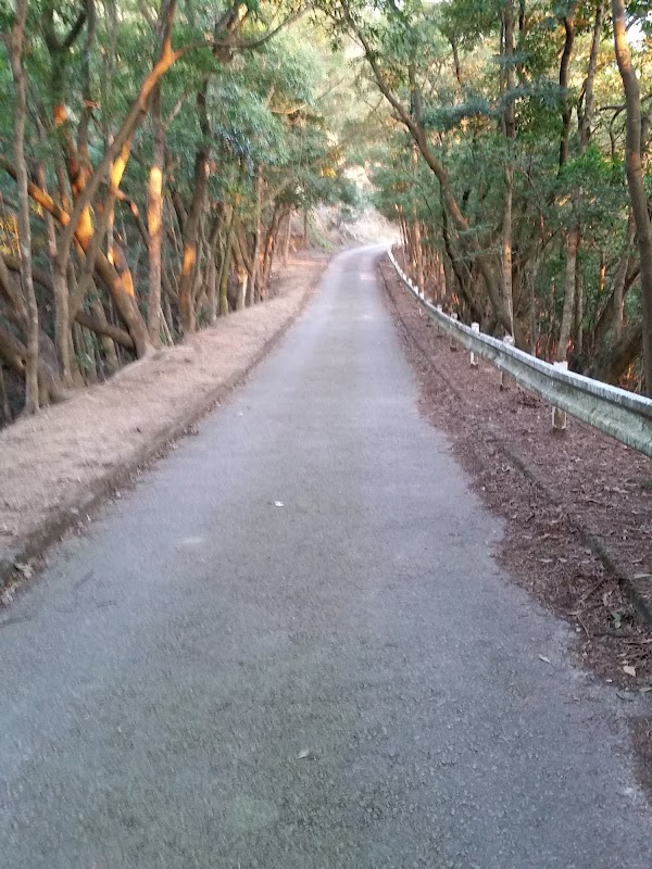 見下文