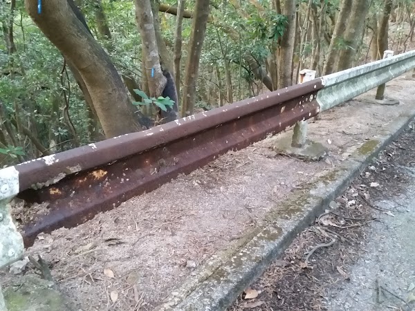 見下文