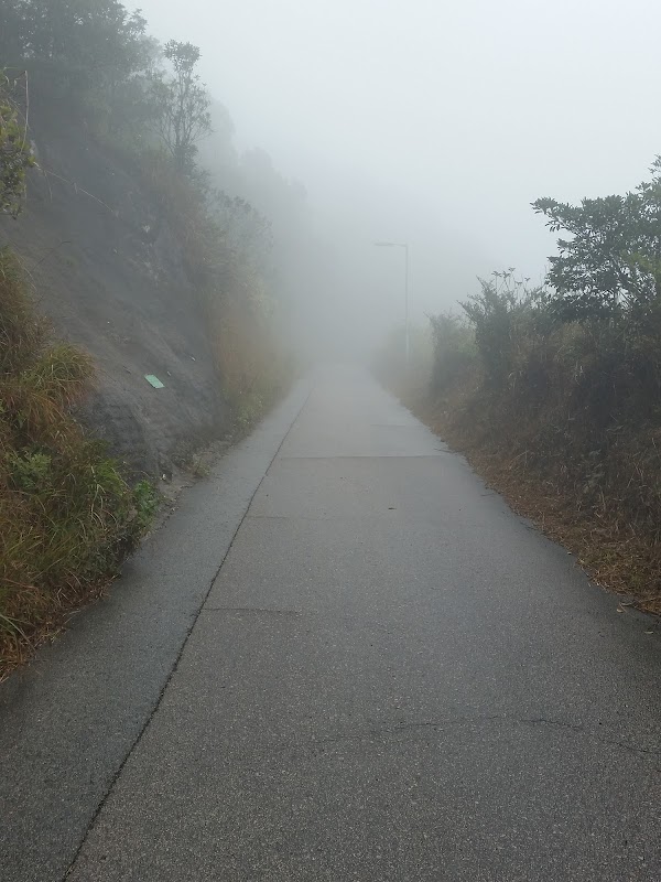 見下文